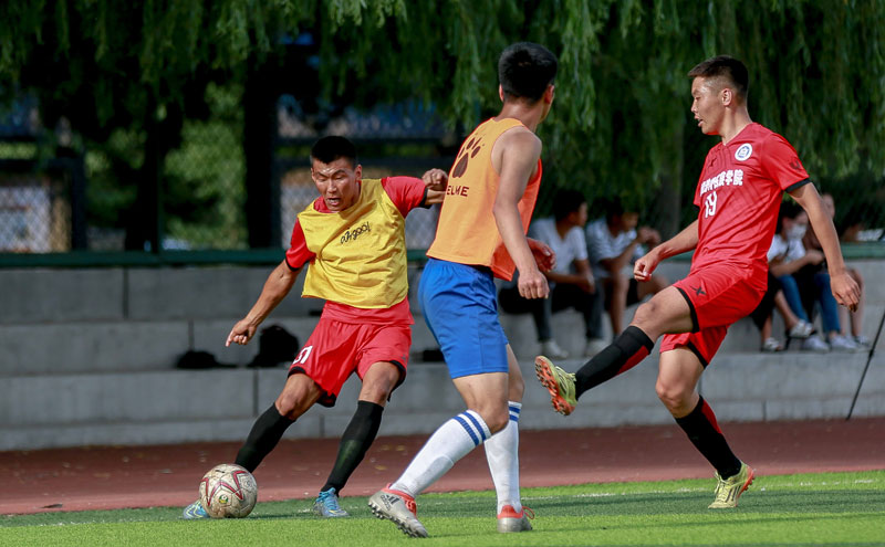 11分9板2助！辽宁80-68胜天津，新星完美表现杨鸣“激情”喝彩（辽宁80-68力克天津，新星11分9板2助闪耀，杨鸣激情喝彩）